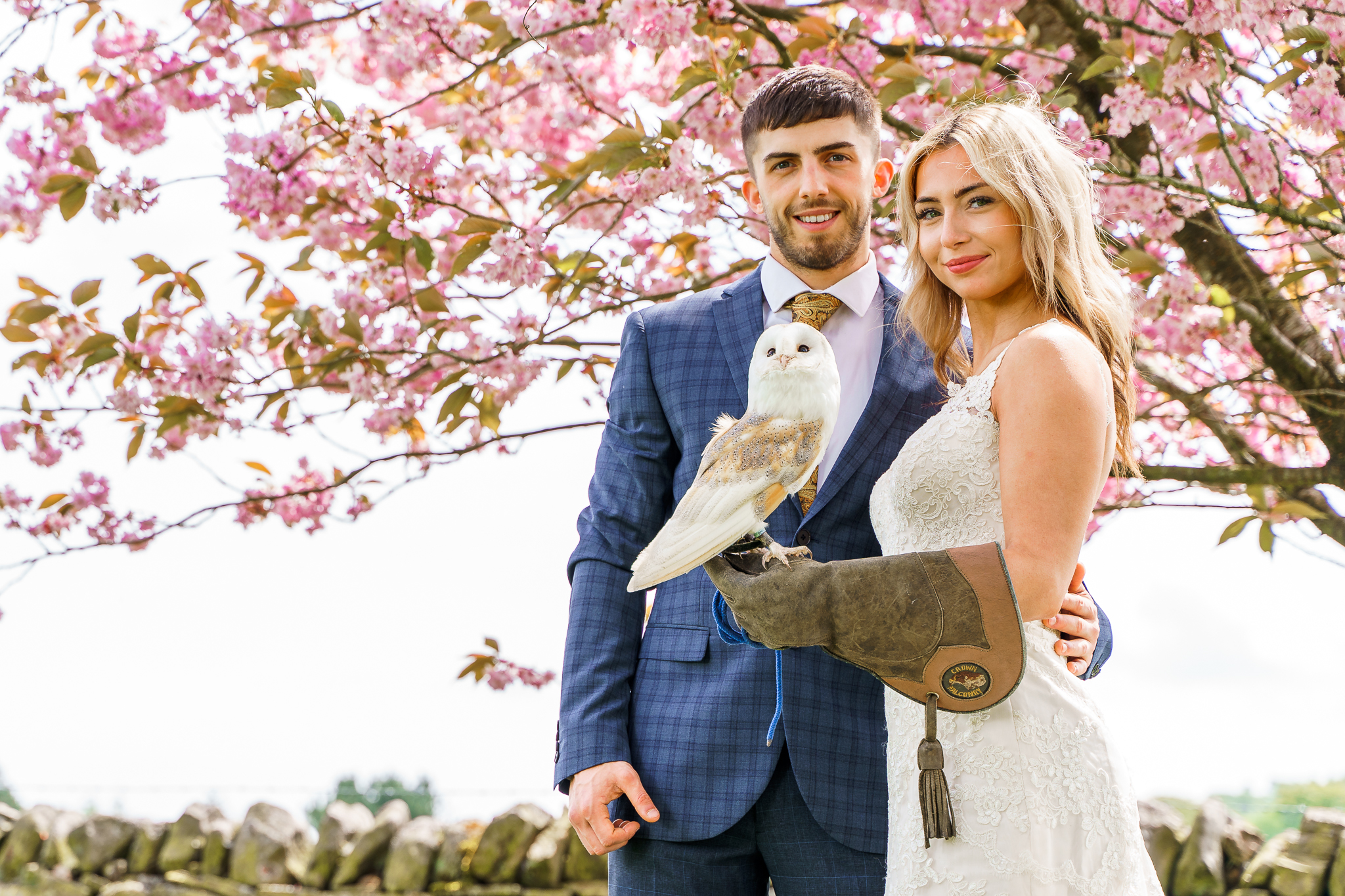 Harrogate Birds of Prey-141