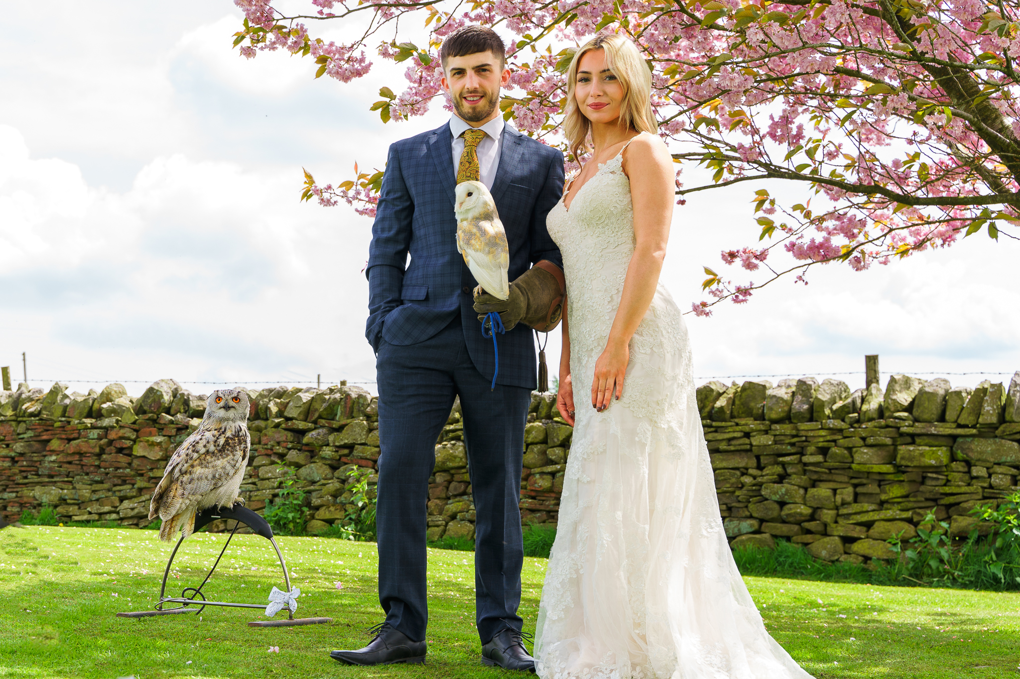 Harrogate Birds of Prey-151