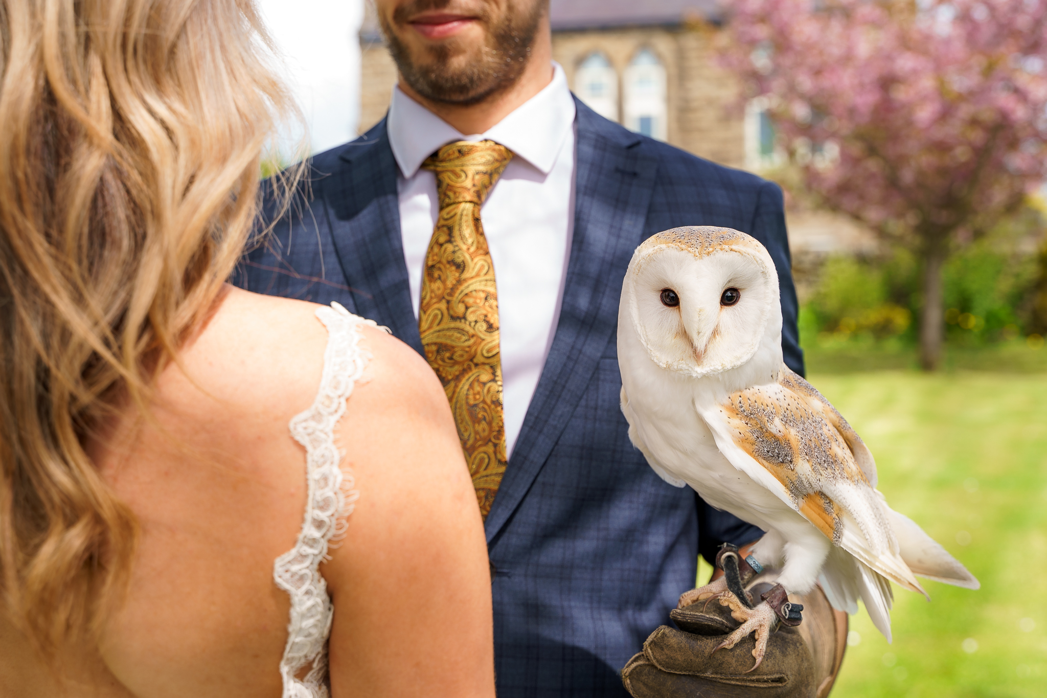 Harrogate Birds of Prey-155